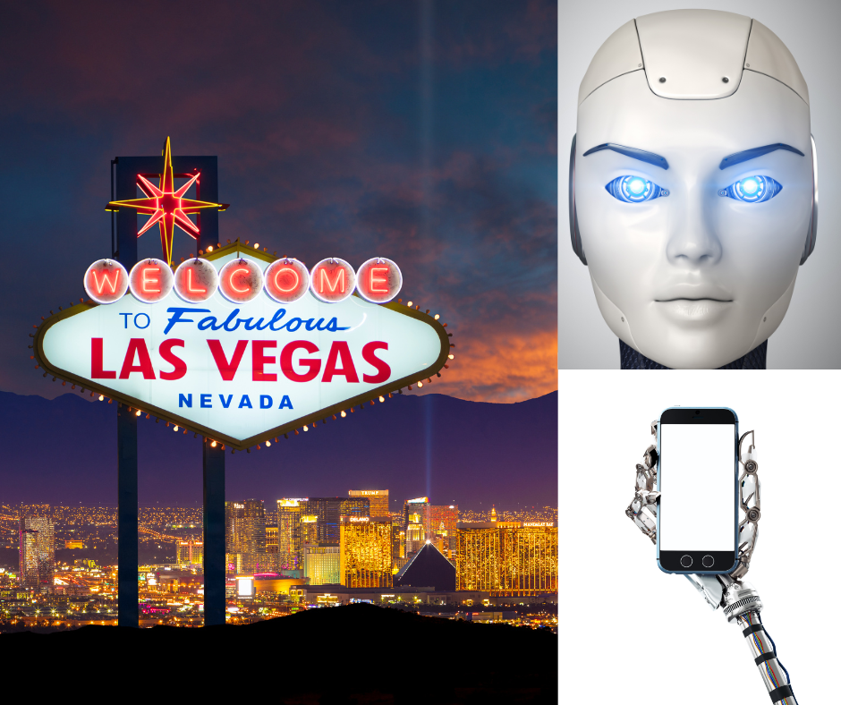Read more about the article What’s Fun At CES?